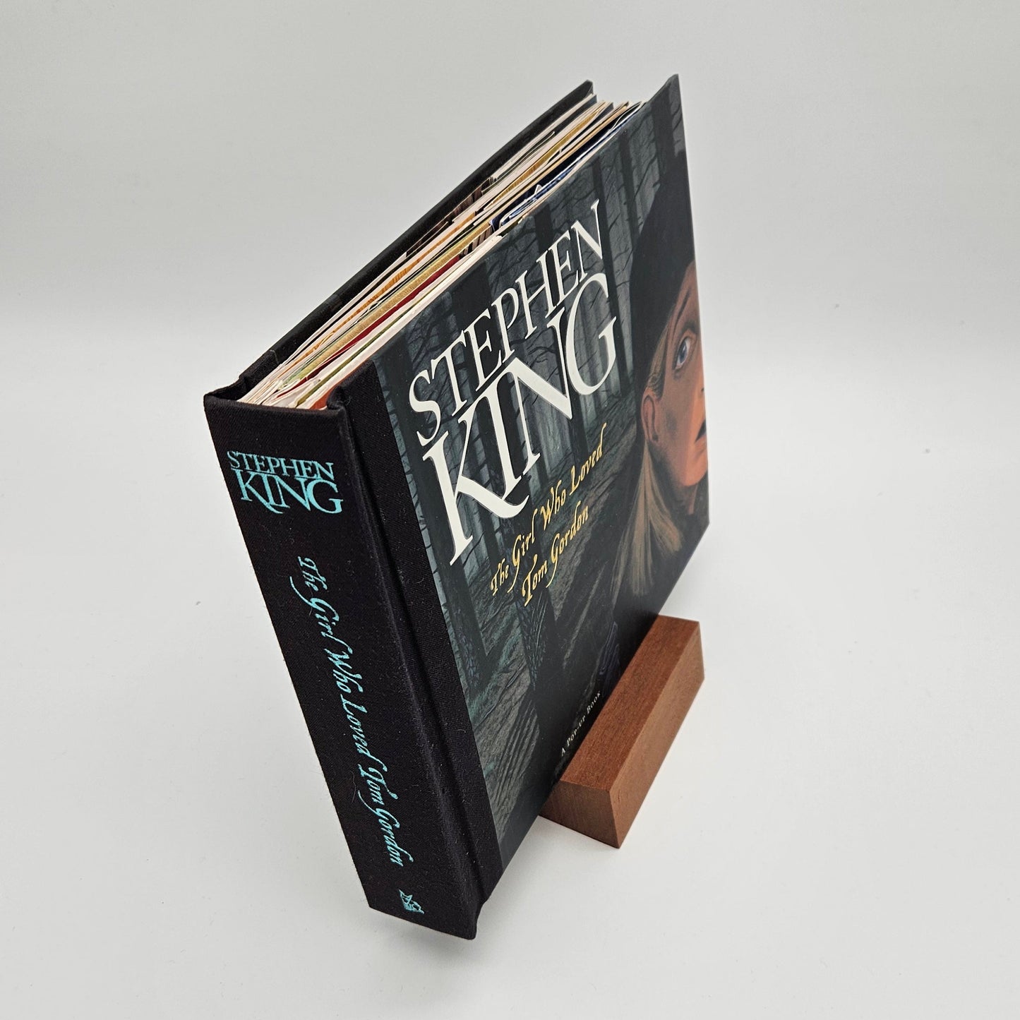 The Girl Who Loved Tom Gordon Pop-up Book