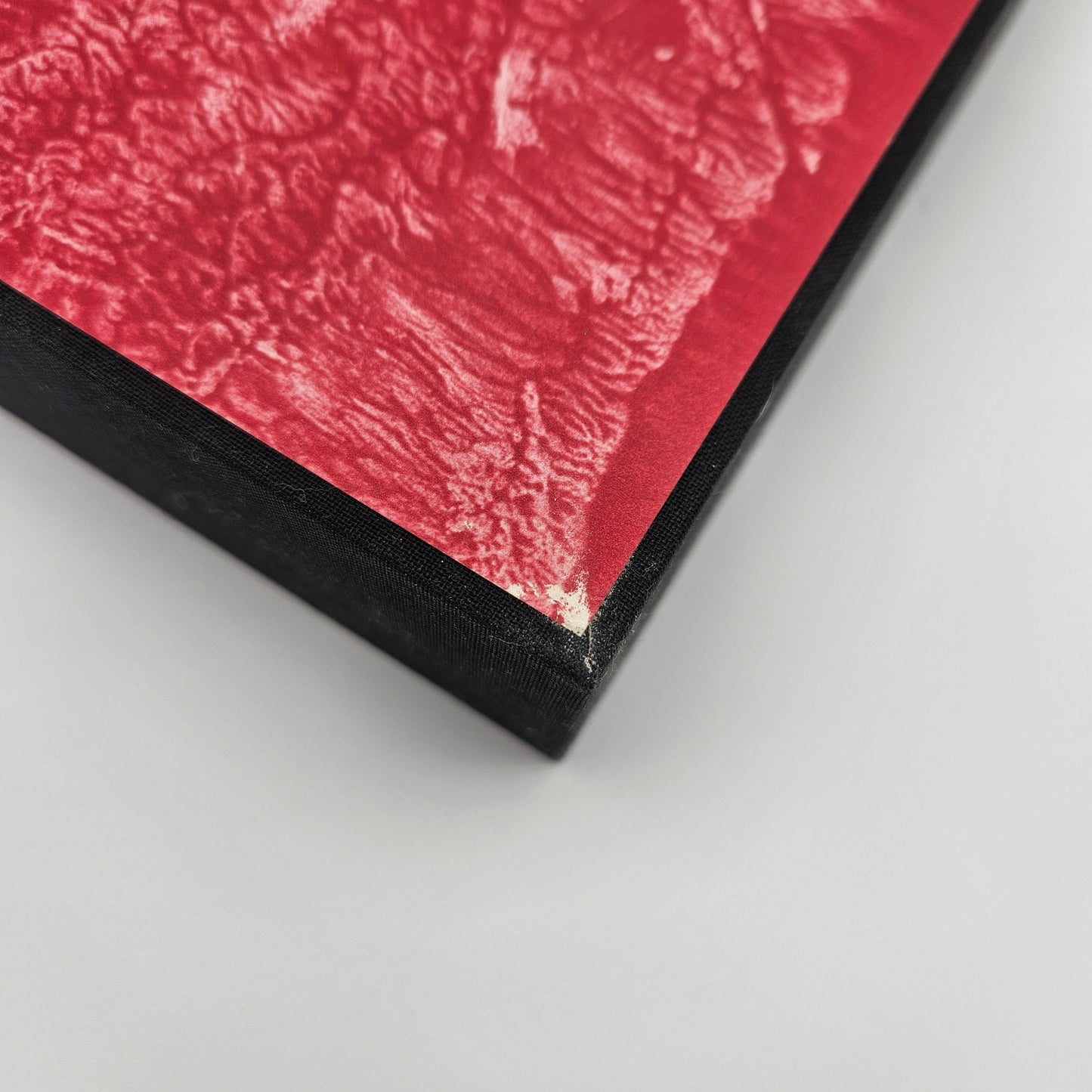 Eyes of the Dragon (Red #37)